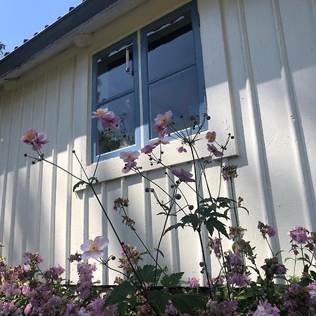 Seaside Cottage Haga Park Frobygarda Exteriör bild