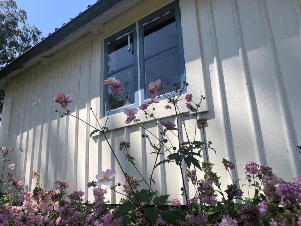 Seaside Cottage Haga Park Frobygarda Exteriör bild